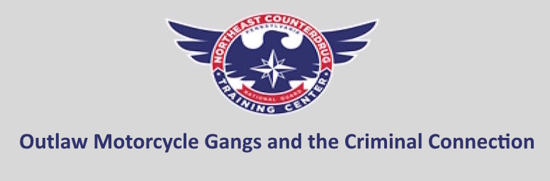 Outlaw Motorcycle Gangs and the Criminal Connection
