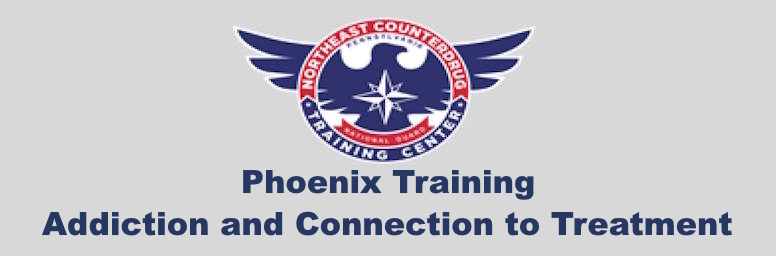 Phoenix Training - Addiction and Connection to Treatment